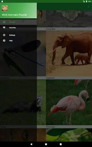 Download Wild Animals Puzzle Terbaru – Game Edukasi Anak Seru - Screenshot 19
