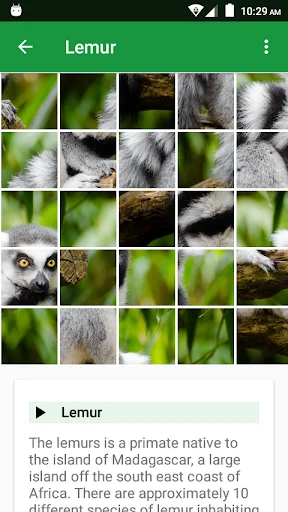 Download Wild Animals Puzzle Terbaru – Game Edukasi Anak Seru - Screenshot 5