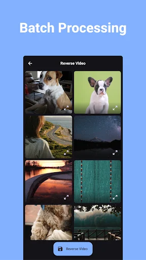 Download Reverse Video Terbaru – Efek Video Mundur Gratis - Screenshot 3