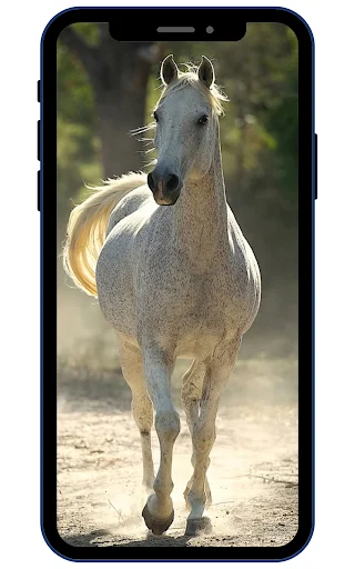 Unduh Horse Wallpapers Terbaru – Koleksi Gambar Kuda HD Gratis - Screenshot 3