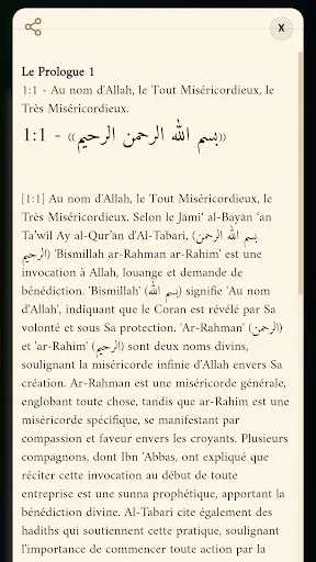 Download Holy Quran Arabic Terbaru – Aplikasi Al-Quran Gratis - Screenshot 4