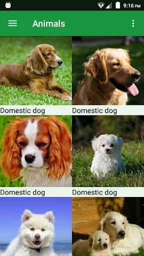 Download Dogs Puzzle Terbaru – Game Teka-Teki Anjing Seru Gratis - Screenshot 1