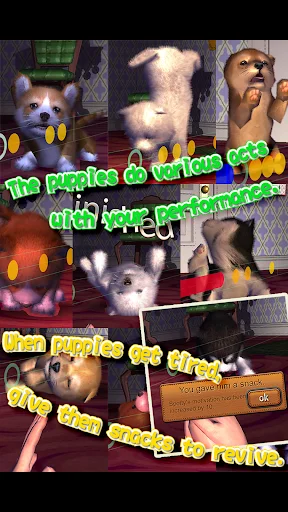 Download Animal Dance Puppies Terbaru – Game Irama Anjing Lucu - Screenshot 19