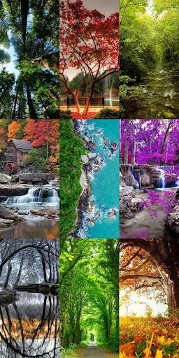 Download Nature Escape HD Wallpapers – Background Alam Gratis - Screenshot 24
