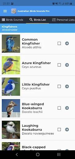 Unduh Australian Birds Sounds Pro – Koleksi Suara Burung Australia - Screenshot 4