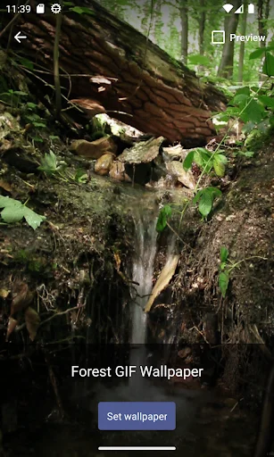 Download Forest GIF Wallpaper Terbaru – Wallpaper Estetik Gratis - Screenshot 5
