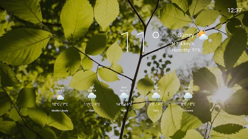 Download Vista Weather TV Screensaver Terbaru – Tampilan Cuaca Indah - Screenshot 15