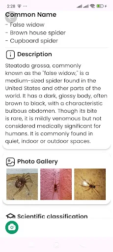 Download Spider Identifier Versi Terbaru – Identifikasi Laba-laba - Screenshot 10