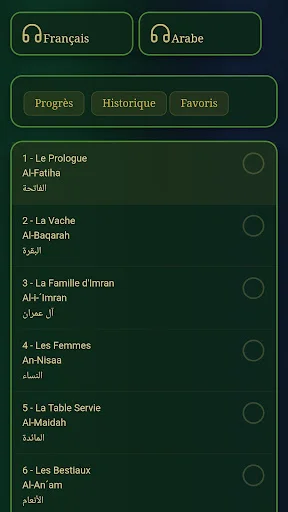 Download Holy Quran Arabic Terbaru – Aplikasi Al-Quran Gratis - Screenshot 2