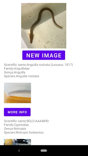 Unduh Fish Identifier APK – Identifikasi Spesies Ikan Instan - Screenshot 12