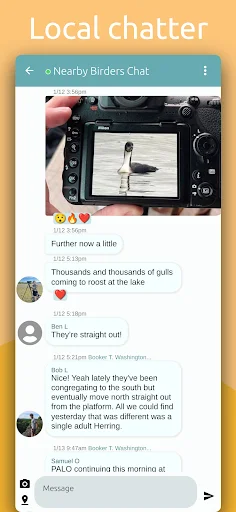 Download BirdingApp Terbaru – Pantau Burung Langka & Komunitas - Screenshot 8