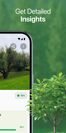 Download TreeBarkID Terbaru – Identifikasi Pohon via Foto Gratis - Screenshot 3