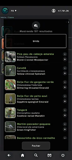 Download FO Gallery Terbaru – Gambar Resolusi Tinggi Gratis - Screenshot 23