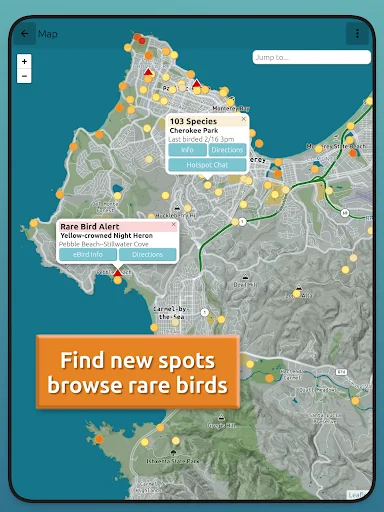 Download BirdingApp Terbaru – Pantau Burung Langka & Komunitas - Screenshot 9