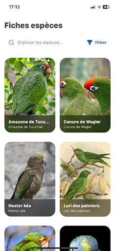 Download Oiseaux2France Terbaru – Komunitas Pecinta Burung - Screenshot 4