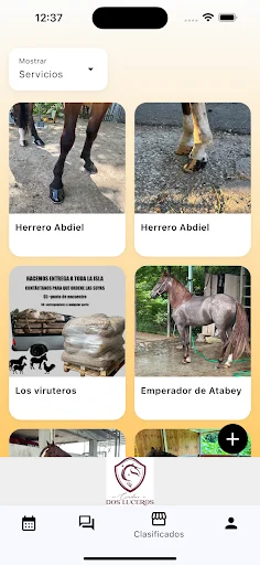 Download Paso a Paso Terbaru – Pengalaman Berkuda Terbaik - Screenshot 4