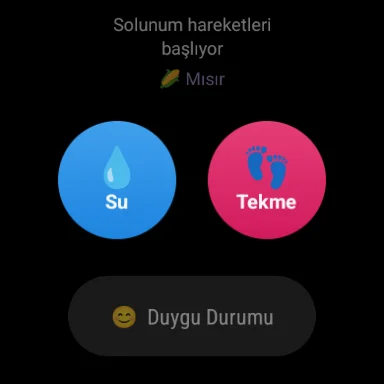Download Anne Asistanı: Panduan Kehamilan & Pelacak Bayi Terbaru - Screenshot 9