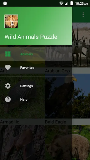 Download Wild Animals Puzzle Terbaru – Game Edukasi Anak Seru - Screenshot 8