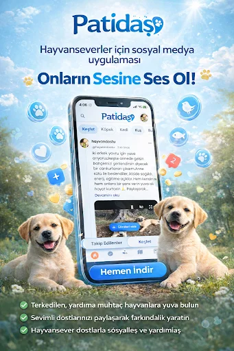 Download Patidaş Terbaru – Aplikasi Adopsi & Perawatan Hewan - Screenshot 1