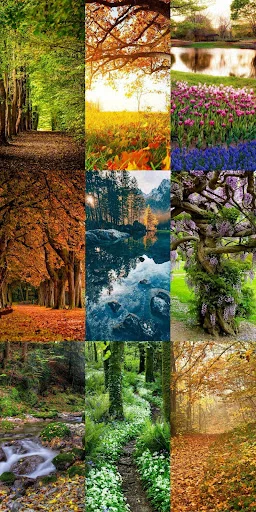 Download Nature Escape HD Wallpapers – Background Alam Gratis - Screenshot 23