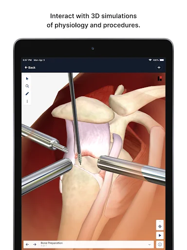 Download BioDigital Human 3D Anatomy Terbaru – Belajar Anatomi - Screenshot 15