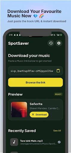 Download SpotSaver Terbaru – Simpan Musik Offline Gratis - Screenshot 1