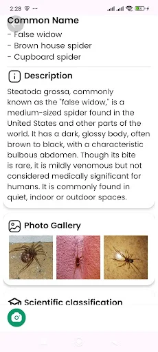 Download Spider Identifier Versi Terbaru – Identifikasi Laba-laba - Screenshot 17