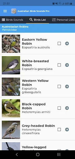 Unduh Australian Birds Sounds Pro – Koleksi Suara Burung Australia - Screenshot 3