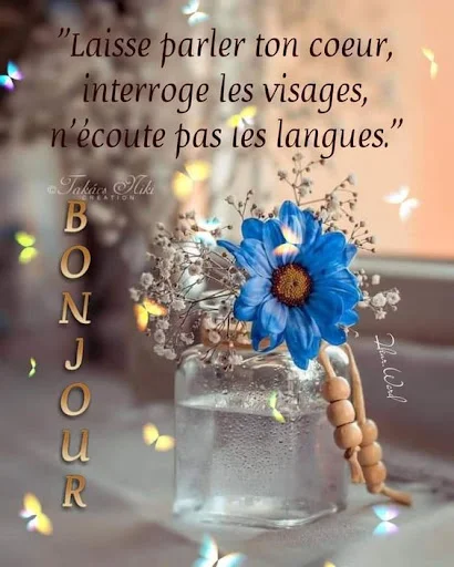 Download Bonjour Wallpaper Terbaru – Gambar Indah Setiap Hari - Screenshot 1