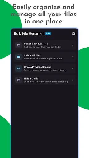 Download Bulk File Renamer Terbaru – Ubah Nama File Cepat & Mudah - Screenshot 1