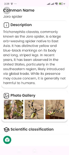 Download Spider Identifier Versi Terbaru – Identifikasi Laba-laba - Screenshot 11