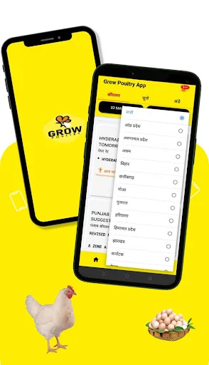 Unduh Broiler Rate Grow Poultry – Update Harga Ayam Harian - Screenshot 16