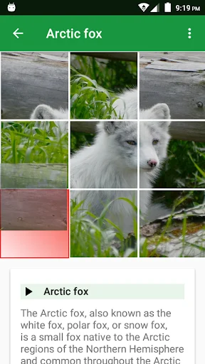 Download Dogs Puzzle Terbaru – Game Teka-Teki Anjing Seru Gratis - Screenshot 2
