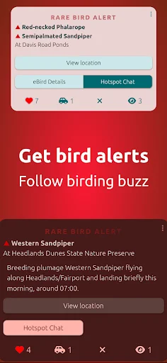 Download BirdingApp Terbaru – Pantau Burung Langka & Komunitas - Screenshot 7