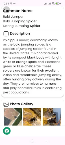 Download Spider Identifier Versi Terbaru – Identifikasi Laba-laba - Screenshot 19