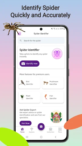 Download Spider Identifier Versi Terbaru – Identifikasi Laba-laba - Screenshot 1