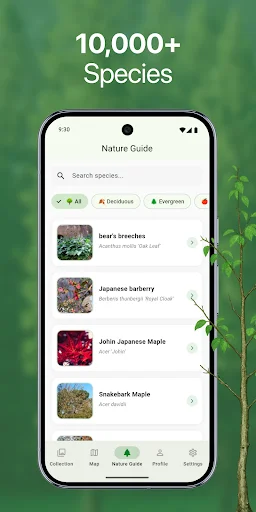 Download TreeBarkID Terbaru – Identifikasi Pohon via Foto Gratis - Screenshot 5