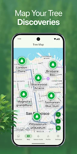 Download TreeBarkID Terbaru – Identifikasi Pohon via Foto Gratis - Screenshot 4