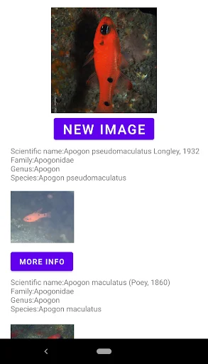 Unduh Fish Identifier APK – Identifikasi Spesies Ikan Instan - Screenshot 11