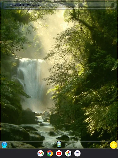 Download Forest GIF Wallpaper Terbaru – Wallpaper Estetik Gratis - Screenshot 13