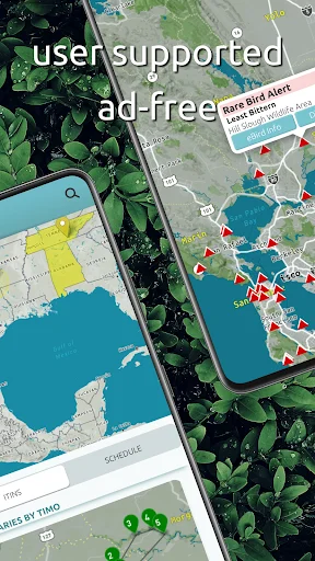Download BirdingApp Terbaru – Pantau Burung Langka & Komunitas - Screenshot 2