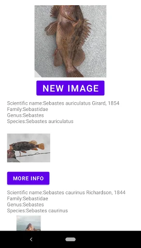 Unduh Fish Identifier APK – Identifikasi Spesies Ikan Instan - Screenshot 10
