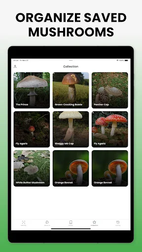 Download Mushroom Identifier Mushby Terbaru – Deteksi Jamur AI - Screenshot 19