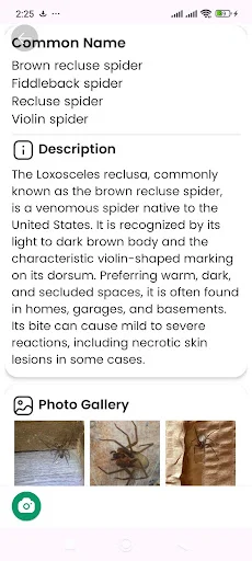 Download Spider Identifier Versi Terbaru – Identifikasi Laba-laba - Screenshot 14